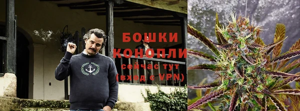 стаф Шадринск