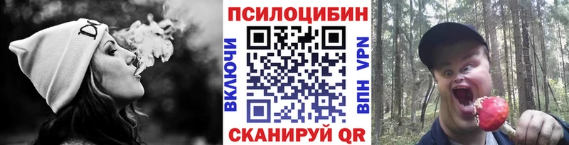 наркошоп  Самара  МЕГА   Галлюциногенные грибы MAGIC MUSHROOMS 